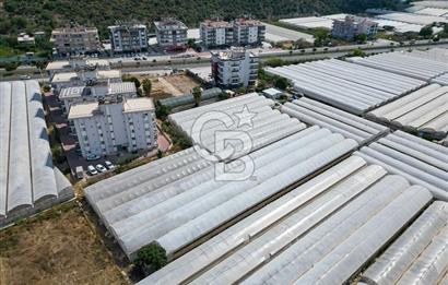 CB ARDENDEN ANTALYA DEMRE GÖKYAZIDA 1315 M2 SATILIK SERA