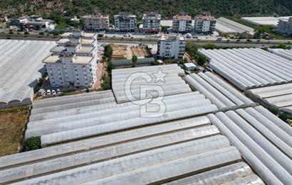 CB ARDENDEN ANTALYA DEMRE GÖKYAZIDA 1315 M2 SATILIK SERA