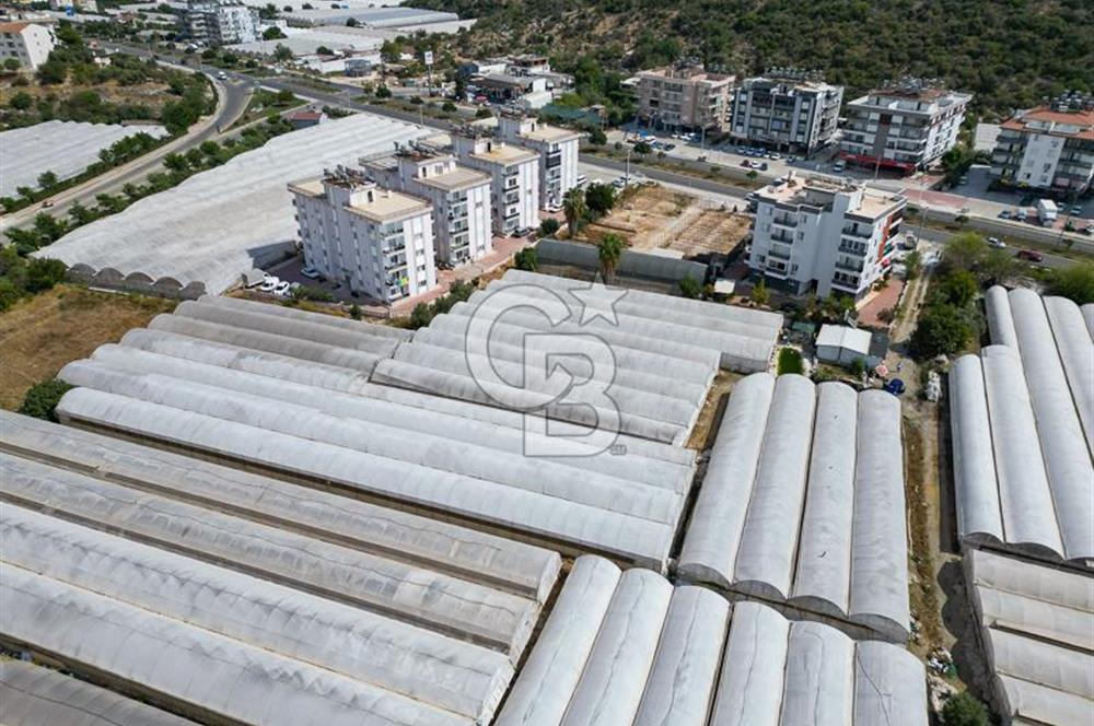 CB ARDENDEN ANTALYA DEMRE GÖKYAZIDA 1315 M2 SATILIK SERA
