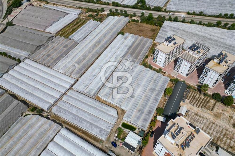 CB ARDENDEN ANTALYA DEMRE GÖKYAZIDA 1315 M2 SATILIK SERA