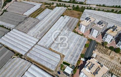 CB ARDENDEN ANTALYA DEMRE GÖKYAZIDA 1315 M2 SATILIK SERA