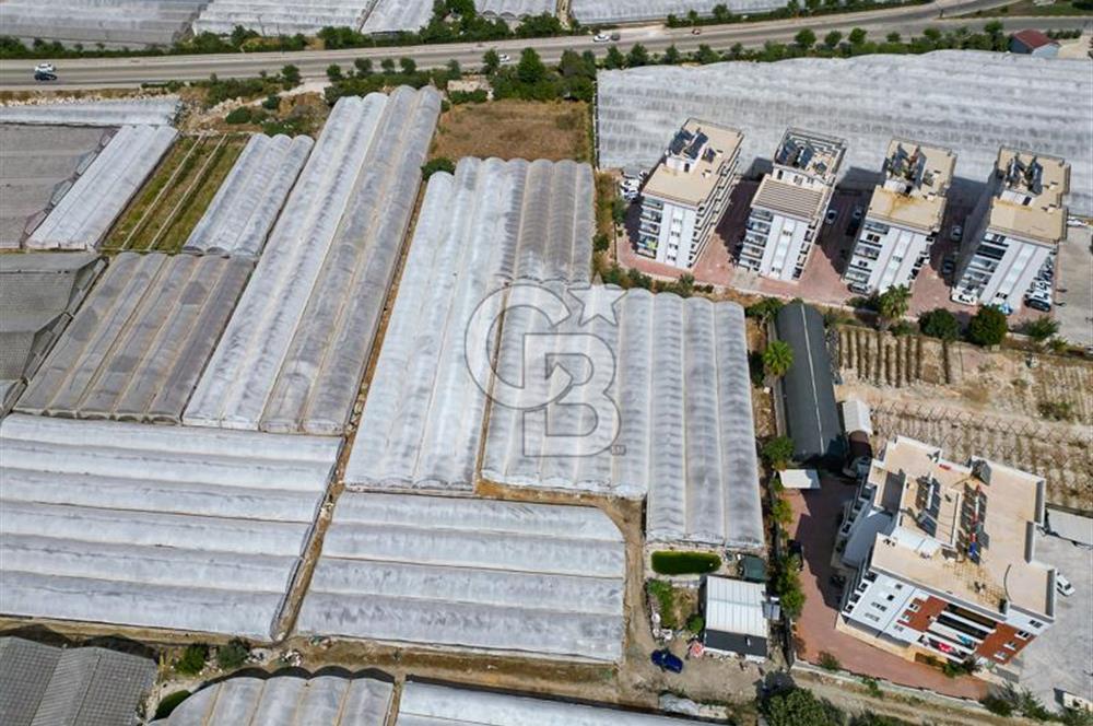 CB ARDENDEN ANTALYA DEMRE GÖKYAZIDA 1315 M2 SATILIK SERA