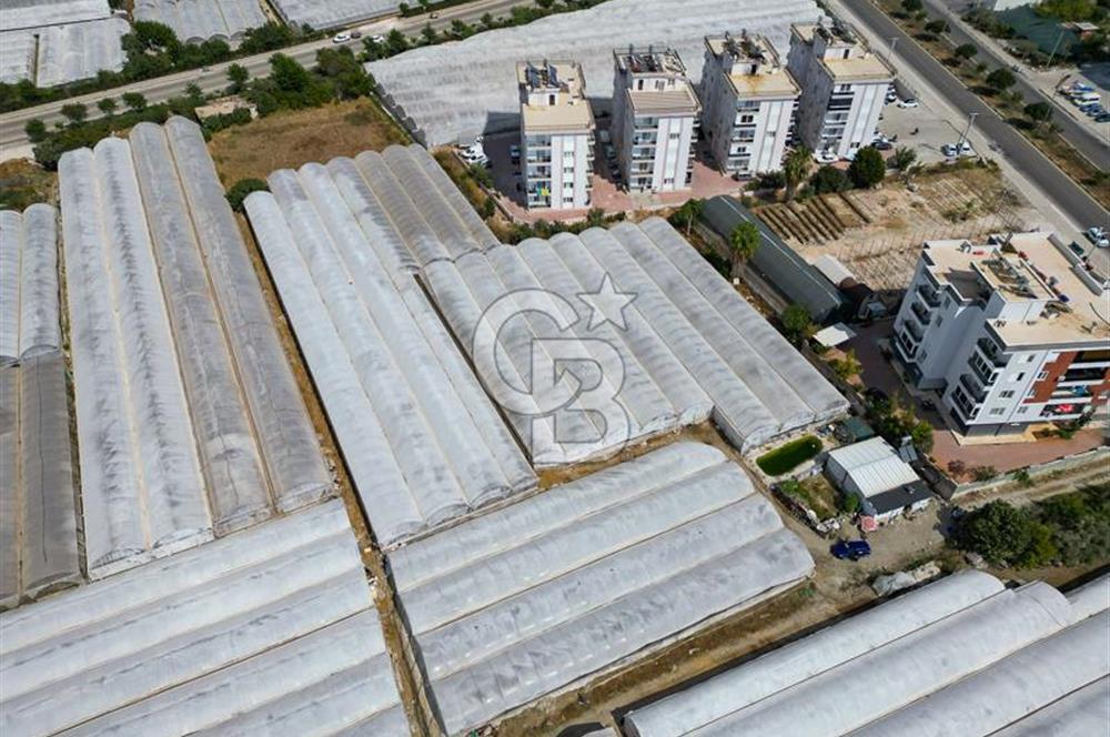 CB ARDENDEN ANTALYA DEMRE GÖKYAZIDA 1315 M2 SATILIK SERA