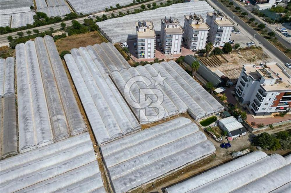 CB ARDENDEN ANTALYA DEMRE GÖKYAZIDA 1315 M2 SATILIK SERA