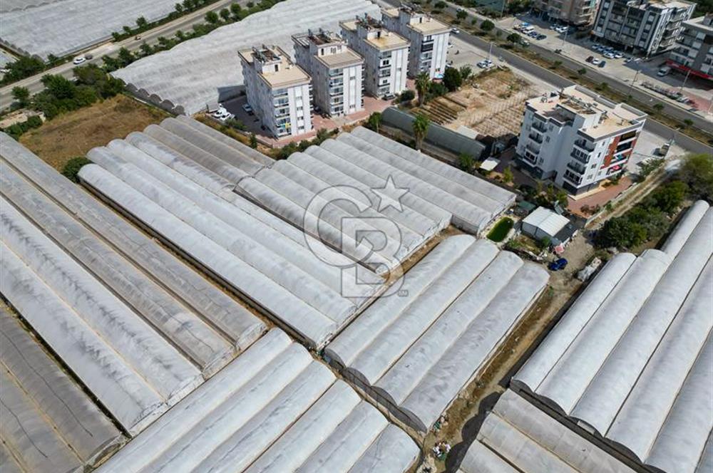CB ARDENDEN ANTALYA DEMRE GÖKYAZIDA 1315 M2 SATILIK SERA
