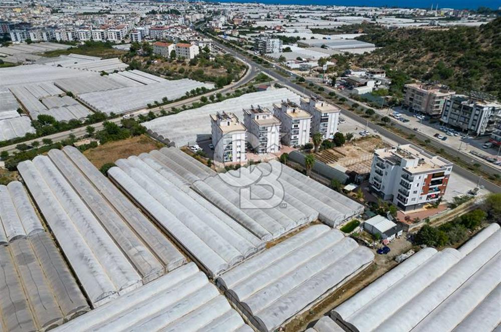 CB ARDENDEN ANTALYA DEMRE GÖKYAZIDA 1315 M2 SATILIK SERA