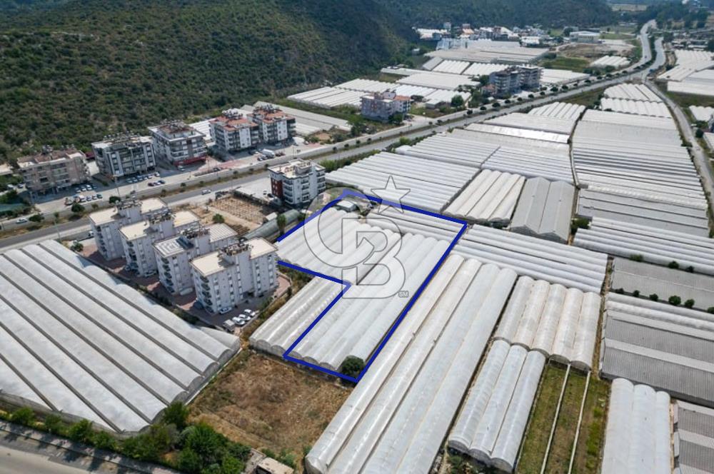 CB ARDENDEN ANTALYA DEMRE GÖKYAZIDA 1315 M2 SATILIK SERA