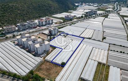 CB ARDENDEN ANTALYA DEMRE GÖKYAZIDA 1315 M2 SATILIK SERA