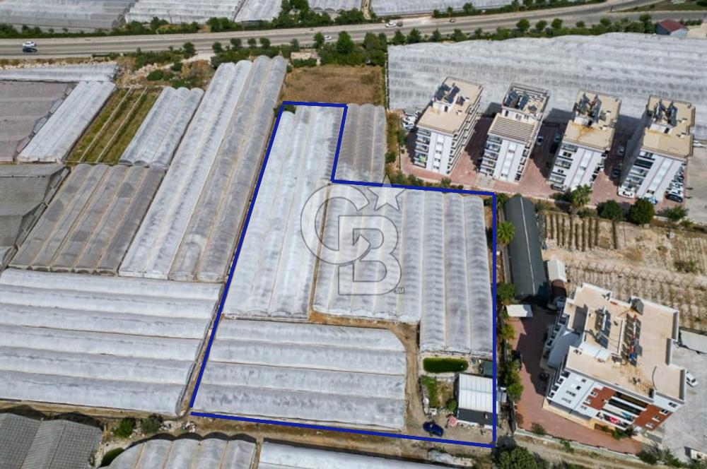 CB ARDENDEN ANTALYA DEMRE GÖKYAZIDA 1315 M2 SATILIK SERA