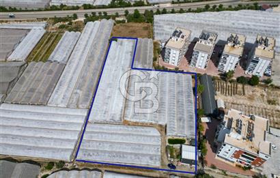 CB ARDENDEN ANTALYA DEMRE GÖKYAZIDA 1315 M2 SATILIK SERA