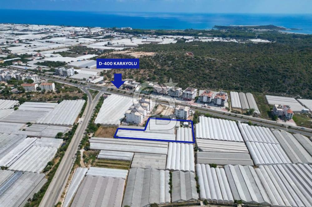 CB ARDENDEN ANTALYA DEMRE GÖKYAZIDA 1315 M2 SATILIK SERA