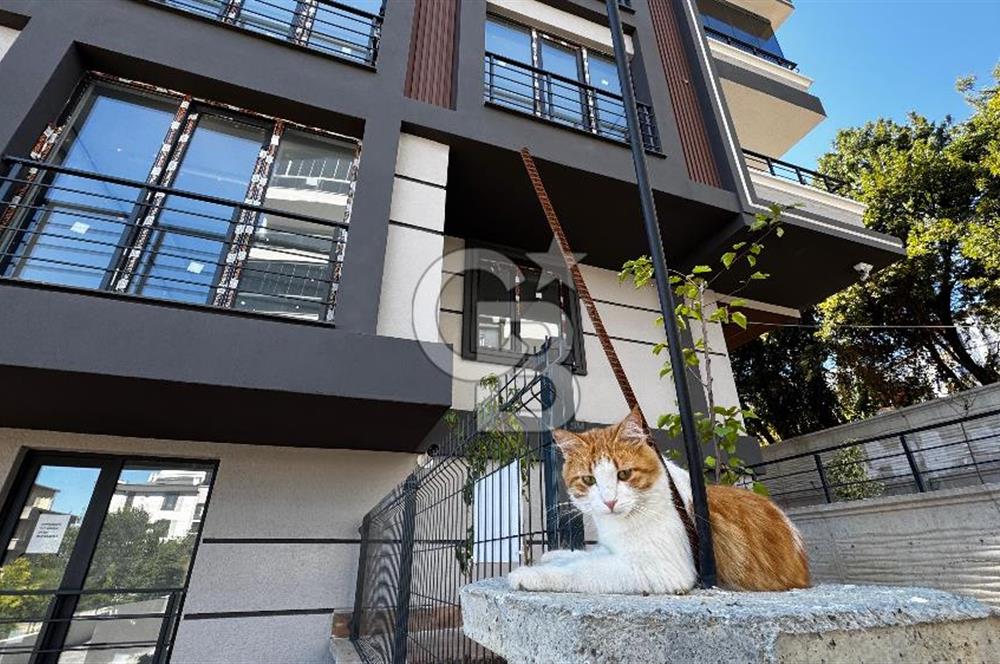 Yenimahalle'de Geniş Kullanım Alanına Sahip Deniz Manzaralı Fırsat 1+1 Daire 