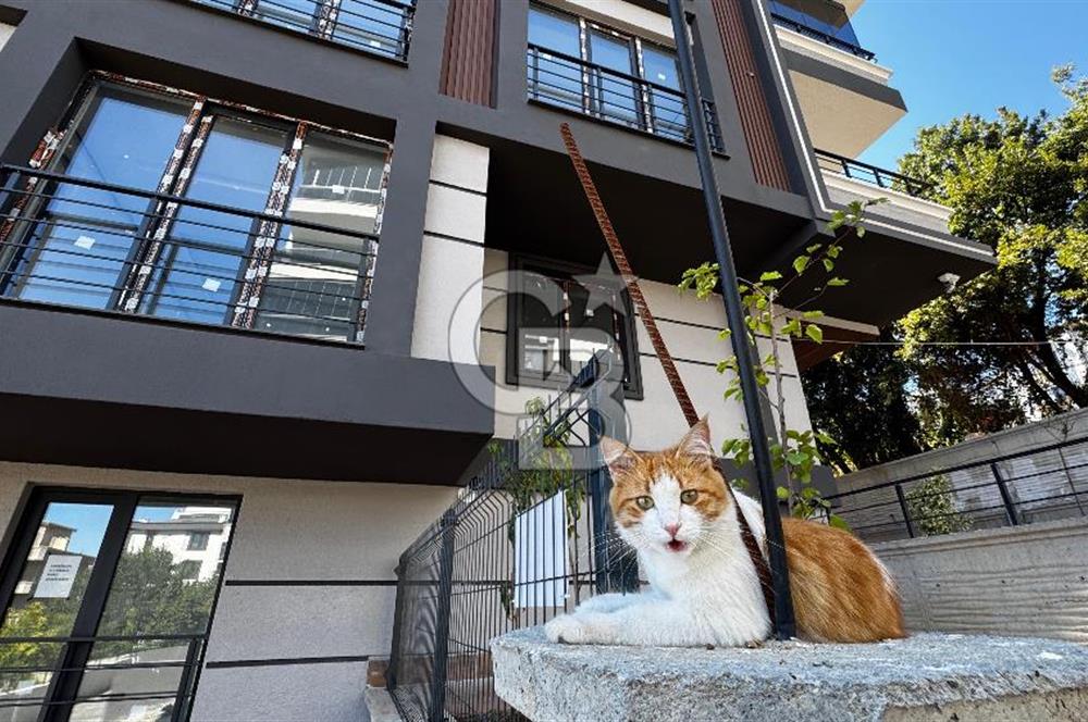 Yenimahalle'de Geniş Kullanım Alanına Sahip Deniz Manzaralı Fırsat 1+1 Daire 