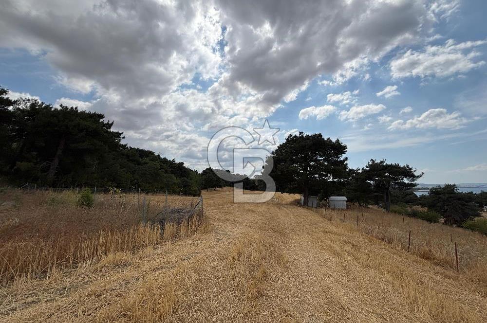 ÇANAKKALE MERKEZ YAPILDAK TA SATILIK 281 M2 TARLA