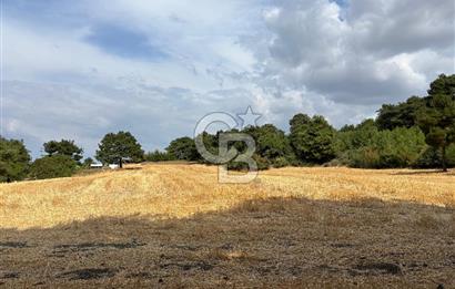 ÇANAKKALE MERKEZ YAPILDAK TA SATILIK 281 M2 TARLA