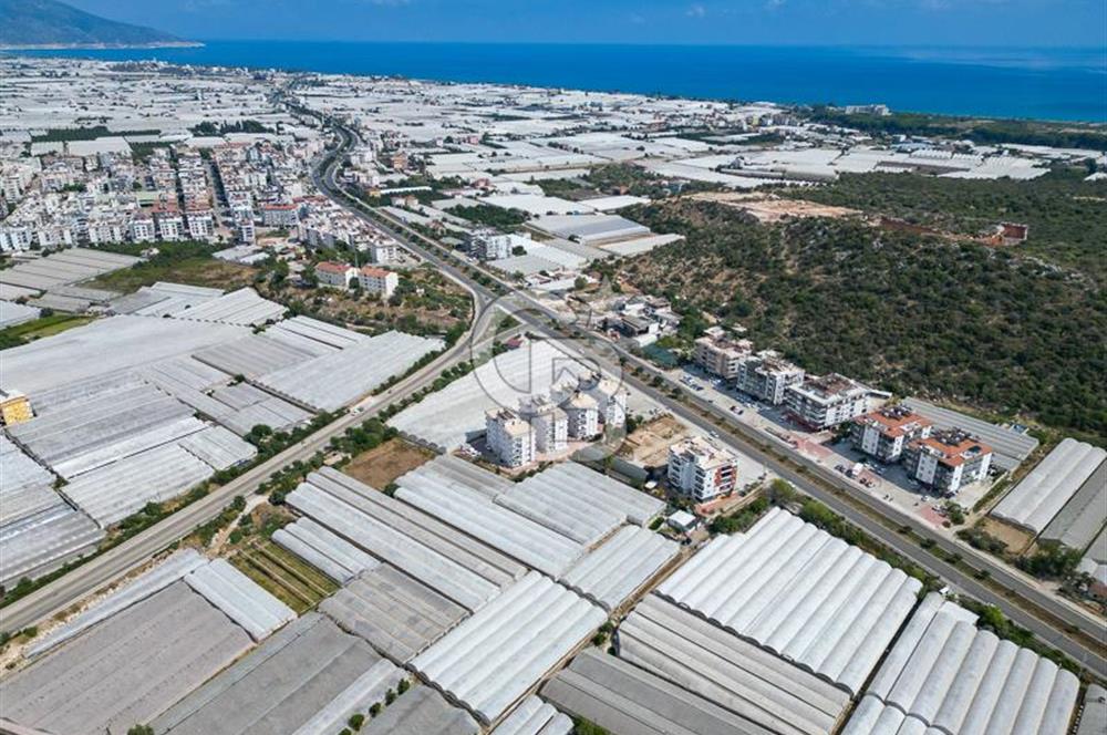 CB ARDENDEN ANTALYA DEMRE GÖKYAZIDA 1315 M2 SATILIK SERA