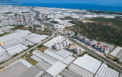 CB ARDENDEN ANTALYA DEMRE GÖKYAZIDA 1315 M2 SATILIK SERA
