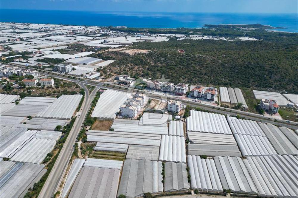 CB ARDENDEN ANTALYA DEMRE GÖKYAZIDA 1315 M2 SATILIK SERA