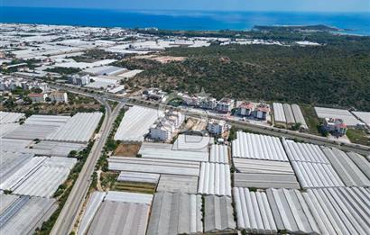 CB ARDENDEN ANTALYA DEMRE GÖKYAZIDA 1315 M2 SATILIK SERA