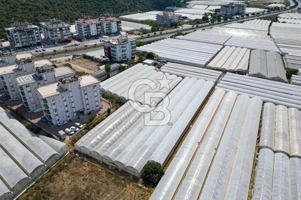 CB ARDENDEN ANTALYA DEMRE GÖKYAZIDA 1315 M2 SATILIK SERA