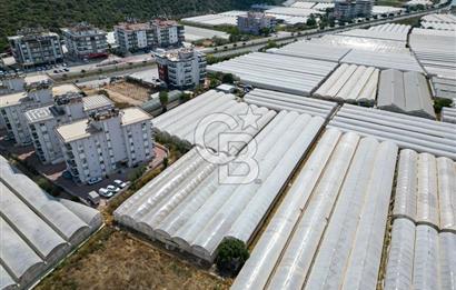 CB ARDENDEN ANTALYA DEMRE GÖKYAZIDA 1315 M2 SATILIK SERA
