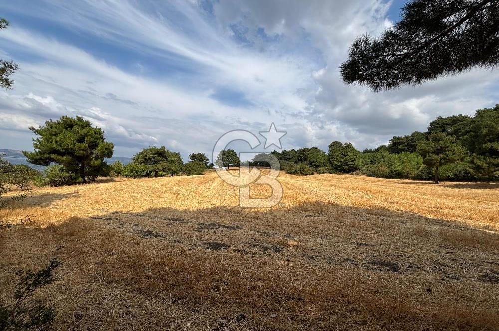 ÇANAKKALE MERKEZ YAPILDAK TA SATILIK 281 M2 TARLA