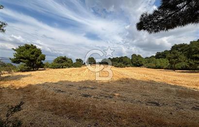 ÇANAKKALE MERKEZ YAPILDAK TA SATILIK 281 M2 TARLA