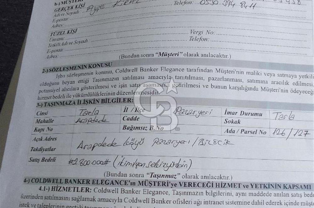ARAP DEDE KÖYÜ SATILIK TARLA 