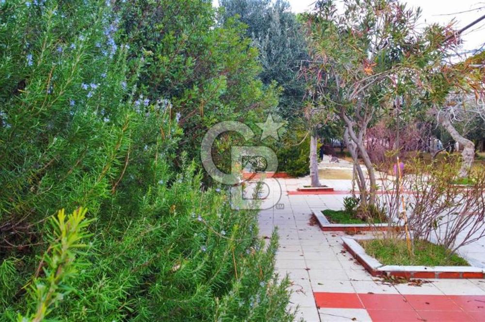 BALIKESİR EKİNLİK ADASINDA YAŞLANMAYACAĞINIZ BİR MÜLK&ARAZİ