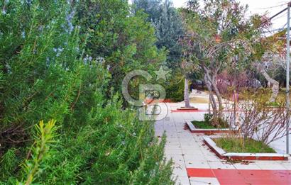 BALIKESİR EKİNLİK ADASINDA YAŞLANMAYACAĞINIZ BİR MÜLK&ARAZİ