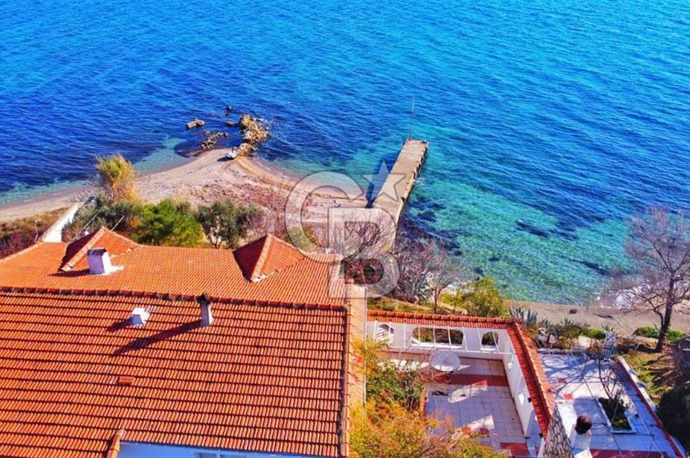 BALIKESİR EKİNLİK ADASINDA YAŞLANMAYACAĞINIZ BİR MÜLK&ARAZİ