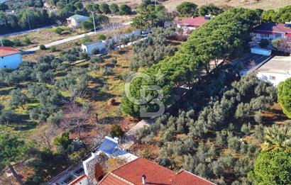 BALIKESİR EKİNLİK ADASINDA YAŞLANMAYACAĞINIZ BİR MÜLK&ARAZİ