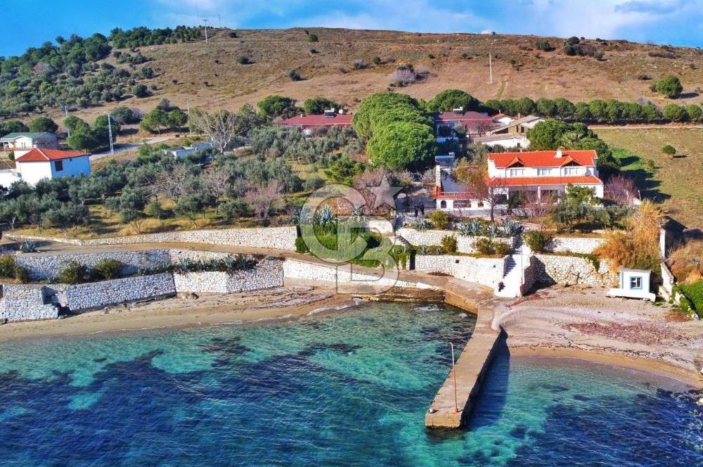 BALIKESİR EKİNLİK ADASINDA YAŞLANMAYACAĞINIZ BİR MÜLK&ARAZİ
