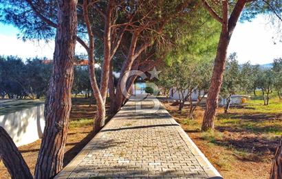 BALIKESİR EKİNLİK ADASINDA YAŞLANMAYACAĞINIZ BİR MÜLK&ARAZİ