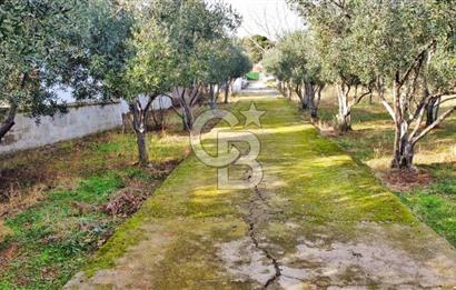 BALIKESİR EKİNLİK ADASINDA YAŞLANMAYACAĞINIZ BİR MÜLK&ARAZİ