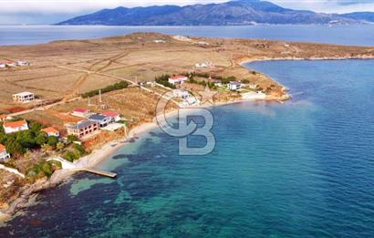 BALIKESİR EKİNLİK ADASINDA YAŞLANMAYACAĞINIZ BİR MÜLK&ARAZİ