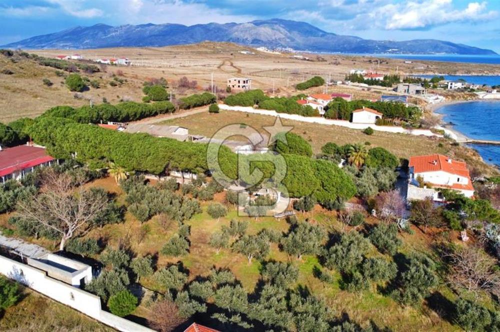 BALIKESİR EKİNLİK ADASINDA YAŞLANMAYACAĞINIZ BİR MÜLK&ARAZİ