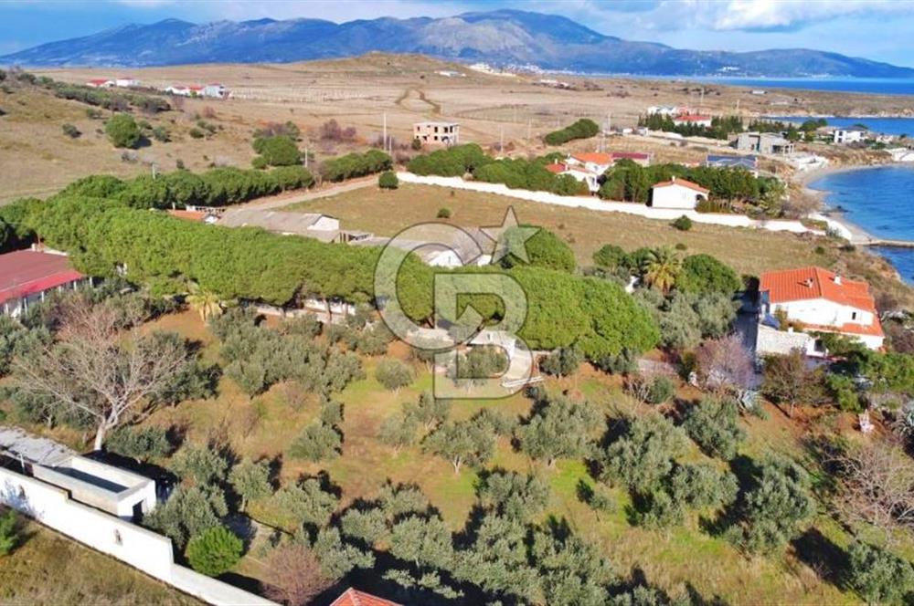 BALIKESİR EKİNLİK ADASINDA YAŞLANMAYACAĞINIZ BİR MÜLK&ARAZİ