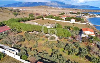 BALIKESİR EKİNLİK ADASINDA YAŞLANMAYACAĞINIZ BİR MÜLK&ARAZİ