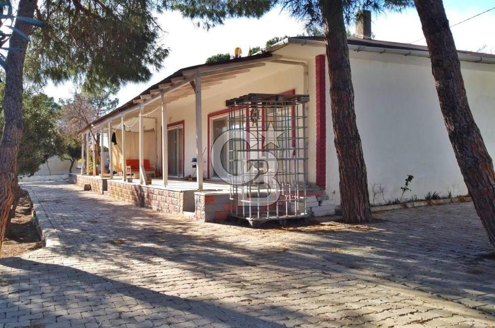 BALIKESİR EKİNLİK ADASINDA YAŞLANMAYACAĞINIZ BİR MÜLK&ARAZİ