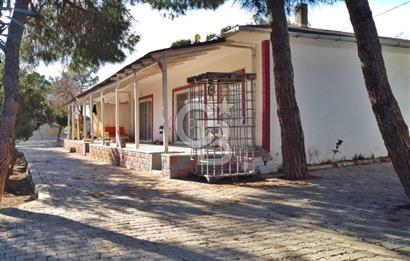 BALIKESİR EKİNLİK ADASINDA YAŞLANMAYACAĞINIZ BİR MÜLK&ARAZİ
