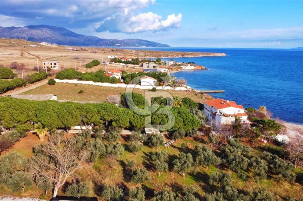 BALIKESİR EKİNLİK ADASINDA YAŞLANMAYACAĞINIZ BİR MÜLK&ARAZİ