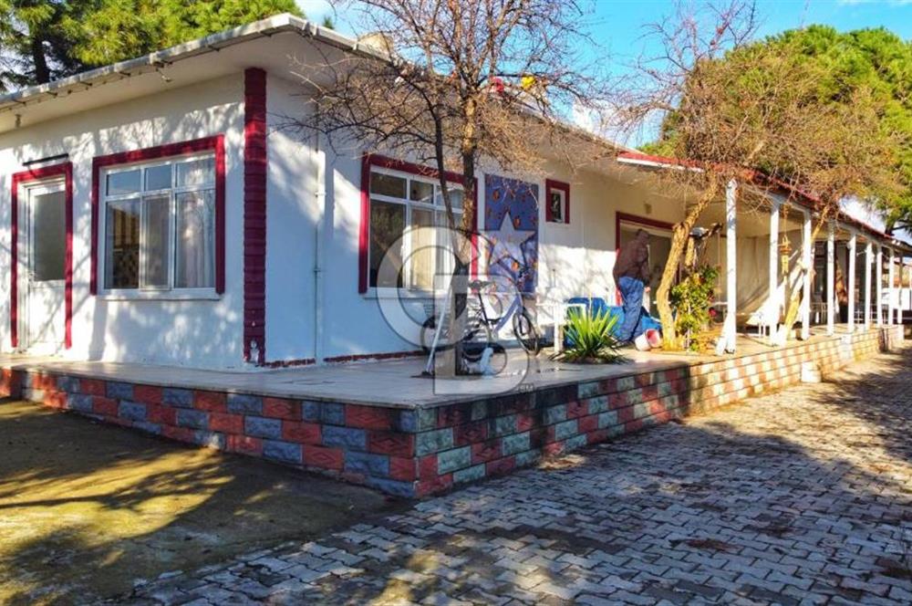 BALIKESİR EKİNLİK ADASINDA YAŞLANMAYACAĞINIZ BİR MÜLK&ARAZİ