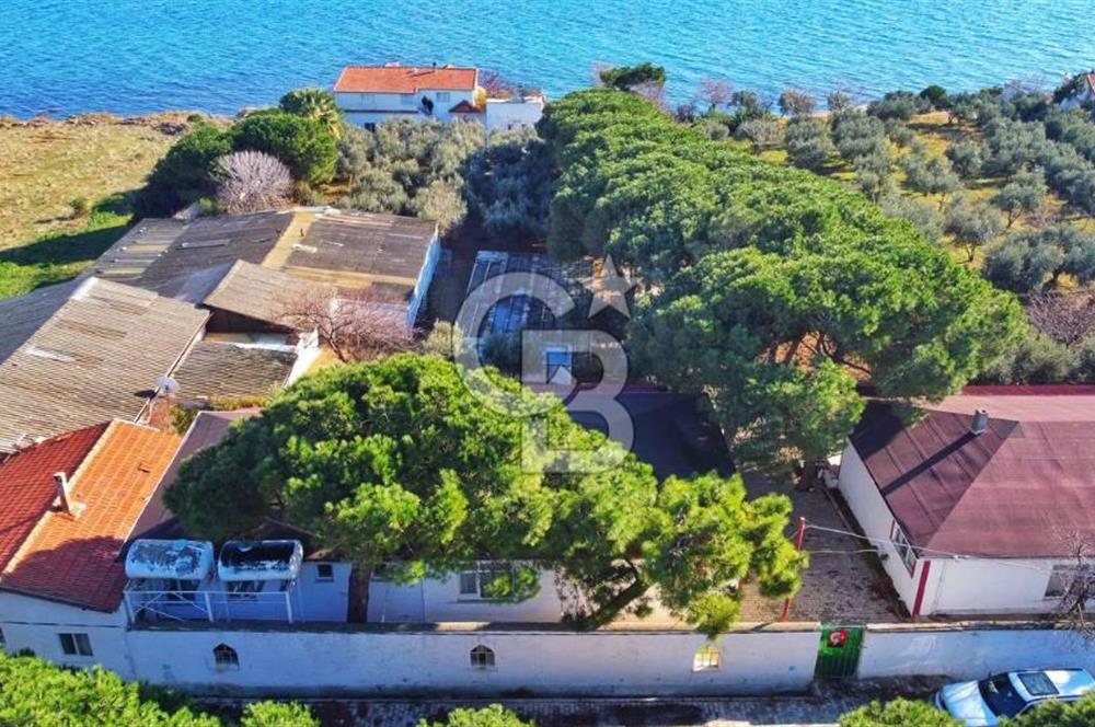 BALIKESİR EKİNLİK ADASINDA YAŞLANMAYACAĞINIZ BİR MÜLK&ARAZİ