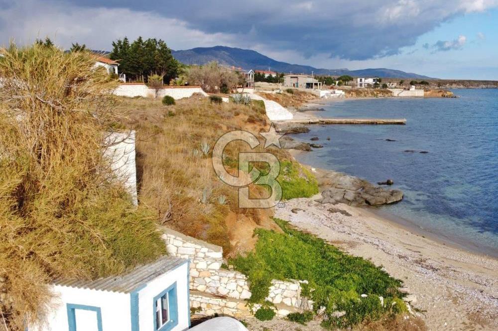 BALIKESİR EKİNLİK ADASINDA YAŞLANMAYACAĞINIZ BİR MÜLK&ARAZİ