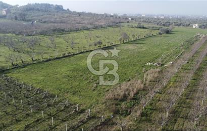 İZMİR KEMALPAŞA ARMUTLU'DA ANA YOLA 2 PARSEL TEK TAPU SATILIK 