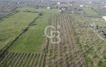 İZMİR KEMALPAŞA ARMUTLU'DA ANA YOLA 2 PARSEL TEK TAPU SATILIK 