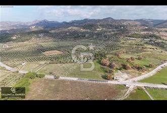 İzmir bergama da