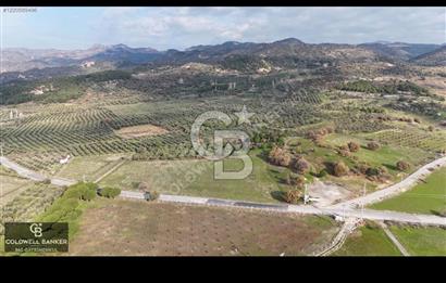 İzmir bergama da