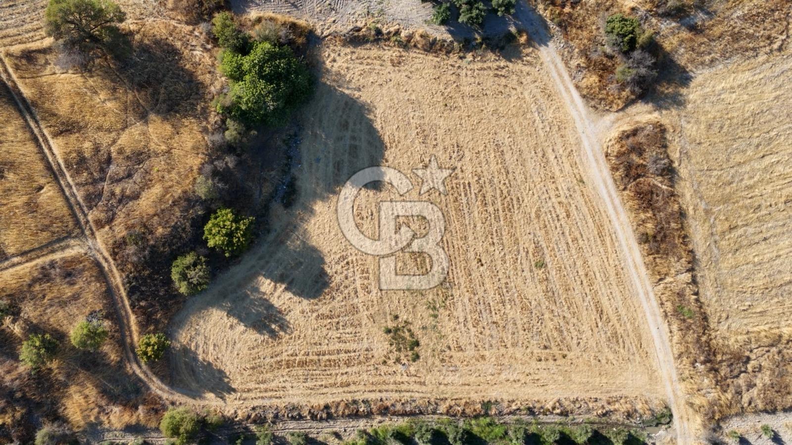 ALİAĞA ÇALTILIDERE'DE (4540 M2) SATILIK TARLA